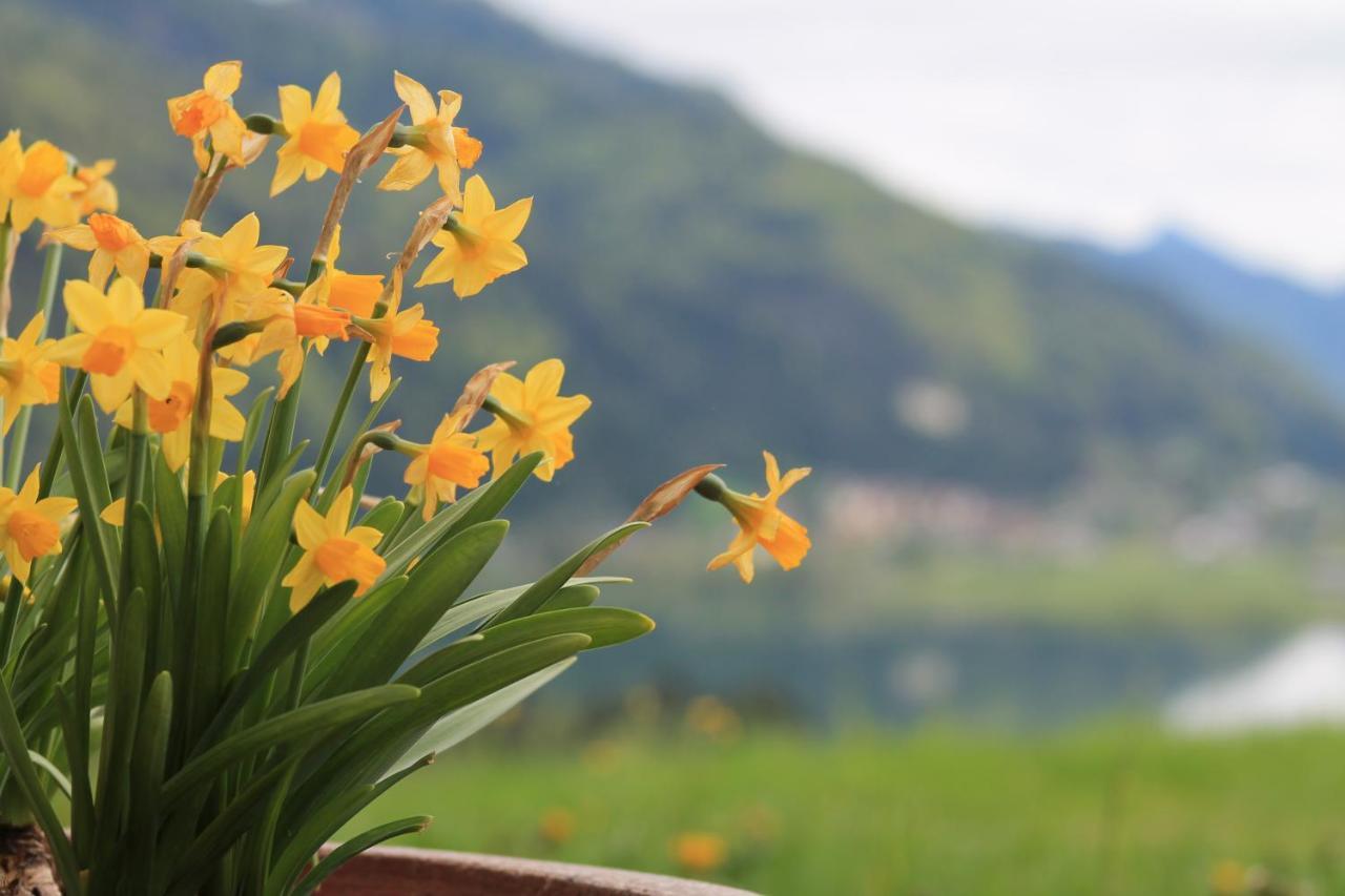 Panorama Lodge Walchsee Zewnętrze zdjęcie